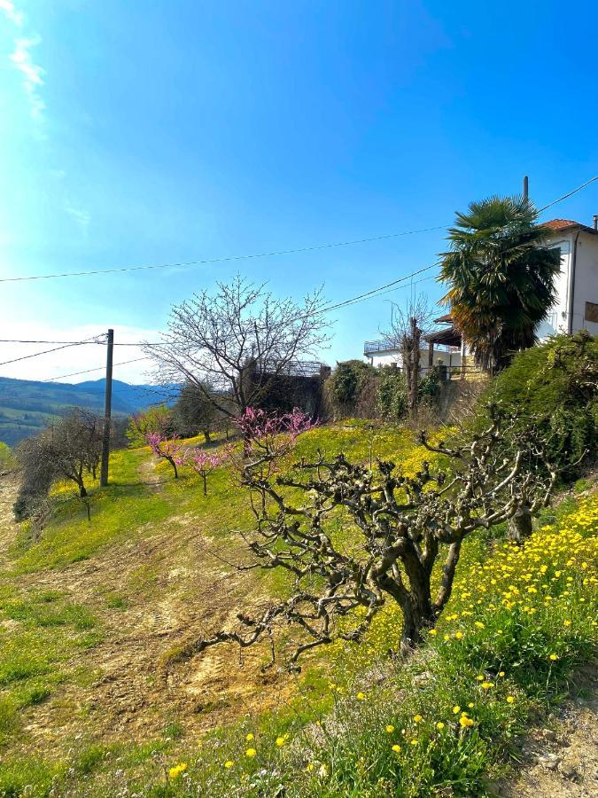 Agriturismo Pian Del Duca Vesime Exterior photo